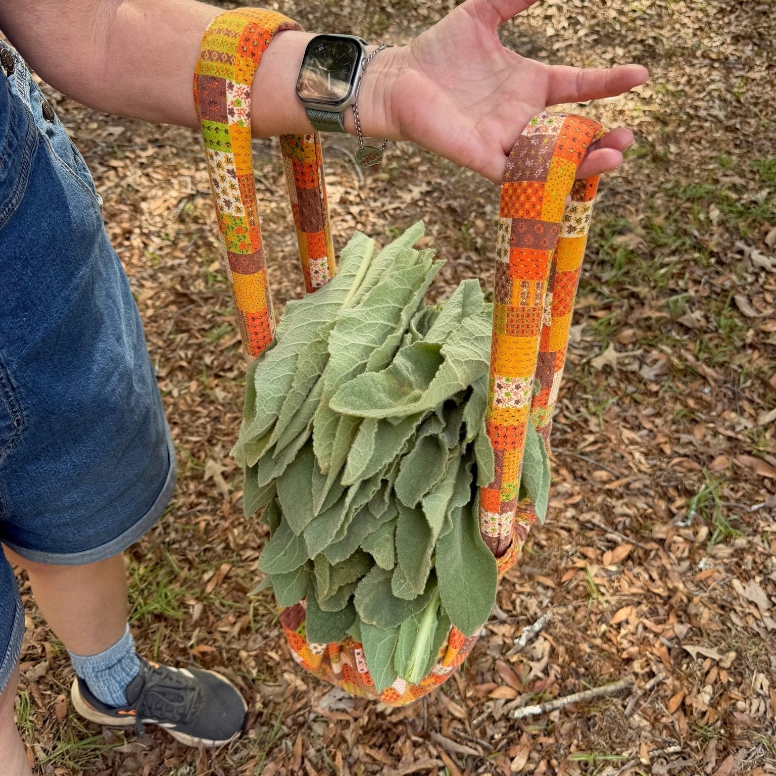 Gathering wildcrafted mullein leaf on Mayim Farm in Alabama