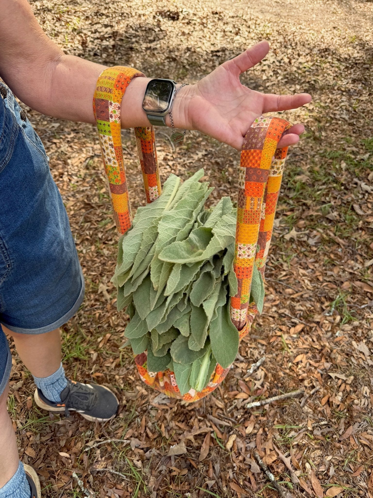 Gathering wildcrafted mullein leaf on Mayim Farm in Alabama