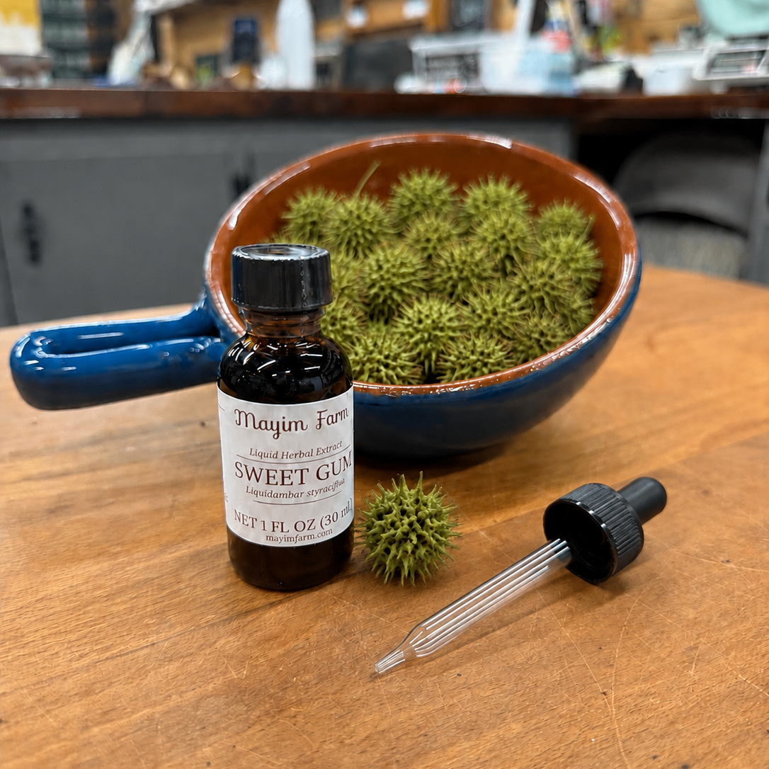Wild harvested sweet gum ball extract shikimic acid tincture from Mayim Farm Alabama