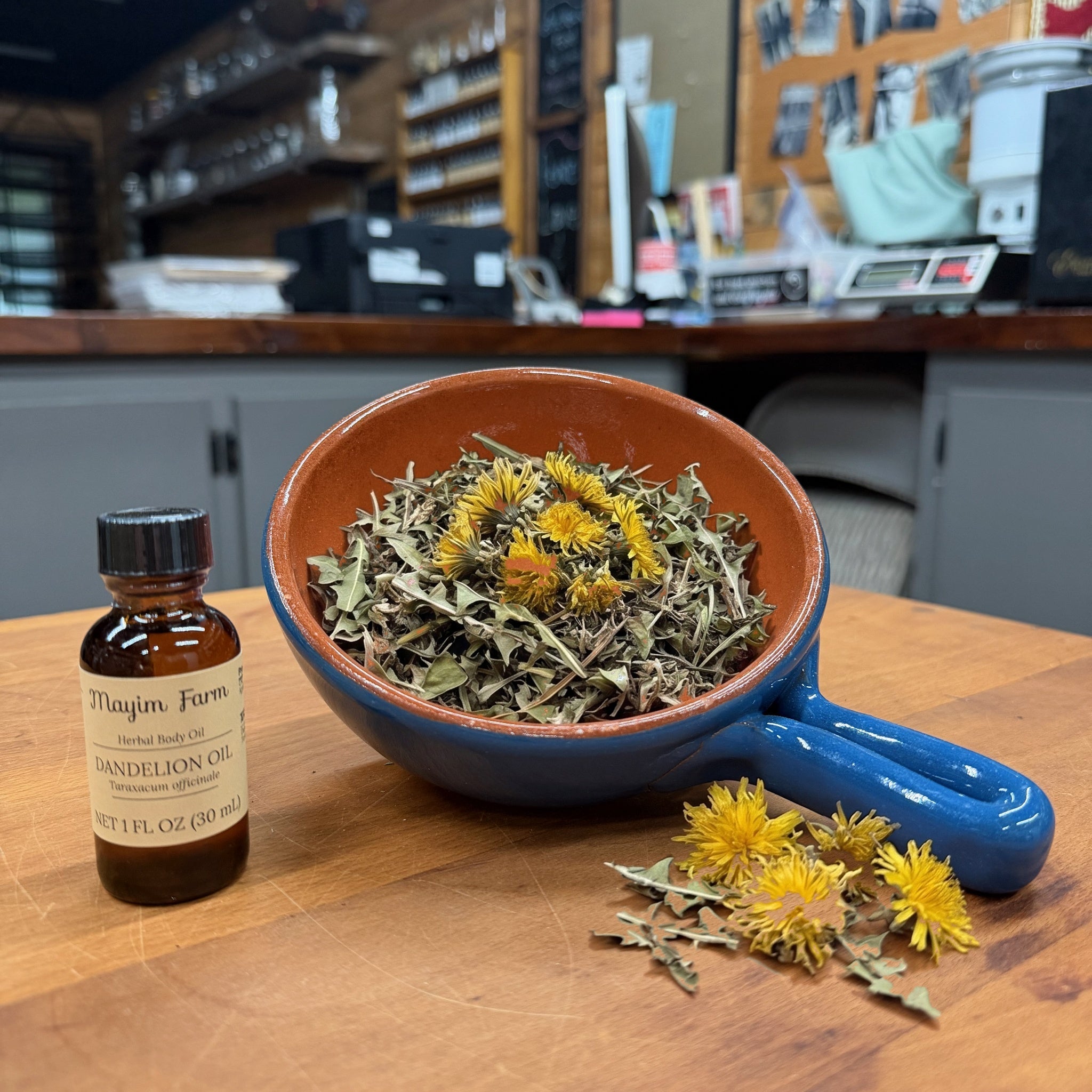 Dandelion flowers infused into hemp oil at Mayim Farm in Opp, Alabama