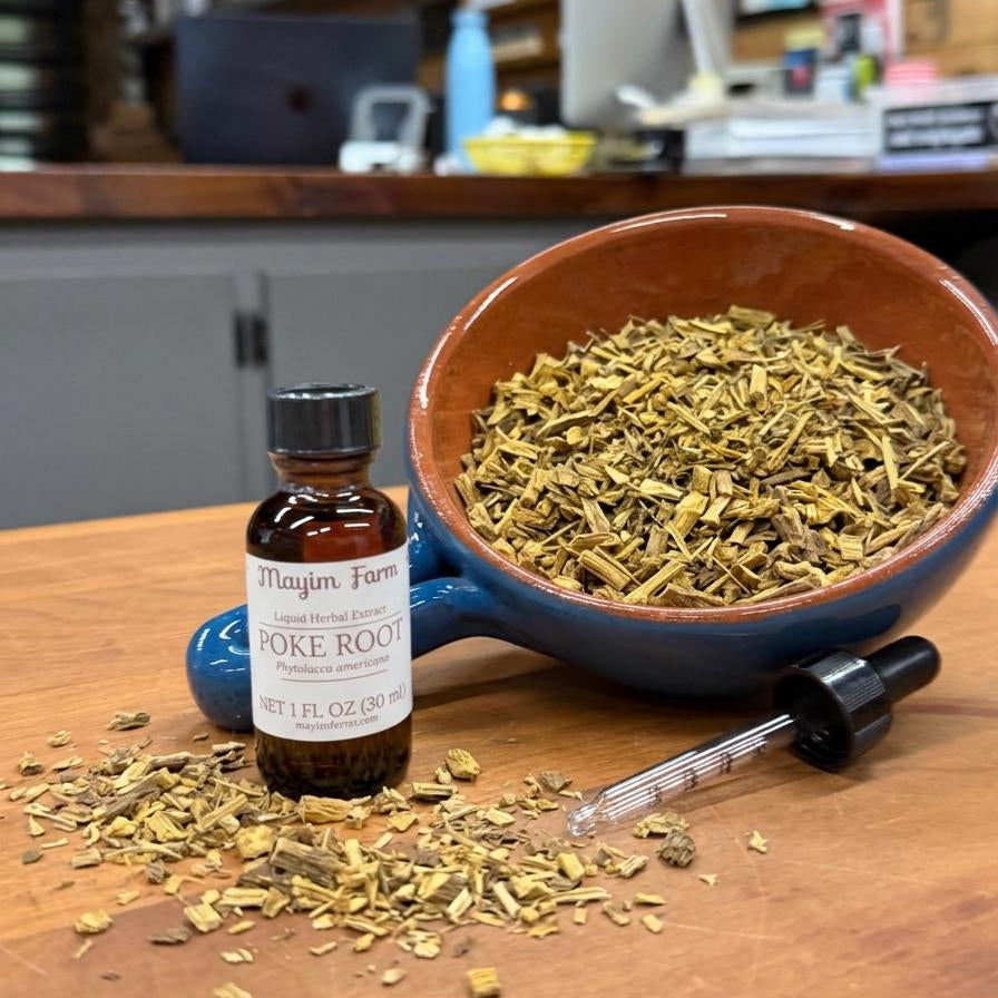 Poke Root liquid herbal extract in a 1 oz amber dropper bottle beside a bowl of dried cut poke root, extracted in small batches at Mayim Farm in Opp, Alabama