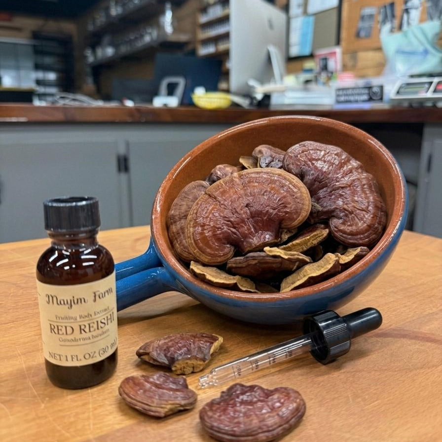 Red Reishi Mushroom Extract in an amber dropper bottle beside a bowl of whole dried reishi mushrooms, extracted in small batches at Mayim Farm in Opp, Alabama