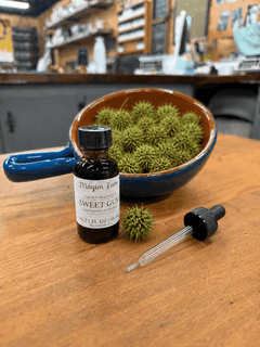 Wild harvested sweet gum ball extract shikimic acid tincture from Mayim Farm Alabama