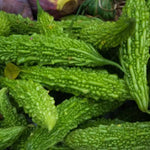 Bitter melon powder capsules Mayim Farm second image