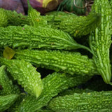 Bitter melon powder capsules Mayim Farm second image