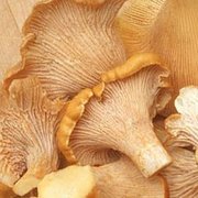 Chanterelle Mushroom, Dried