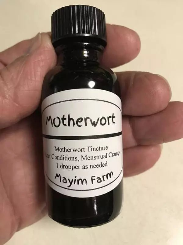 Motherwort Extract