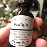 Wildcrafted mullein leaf tincture for lung support from Mayim Farm Alabama