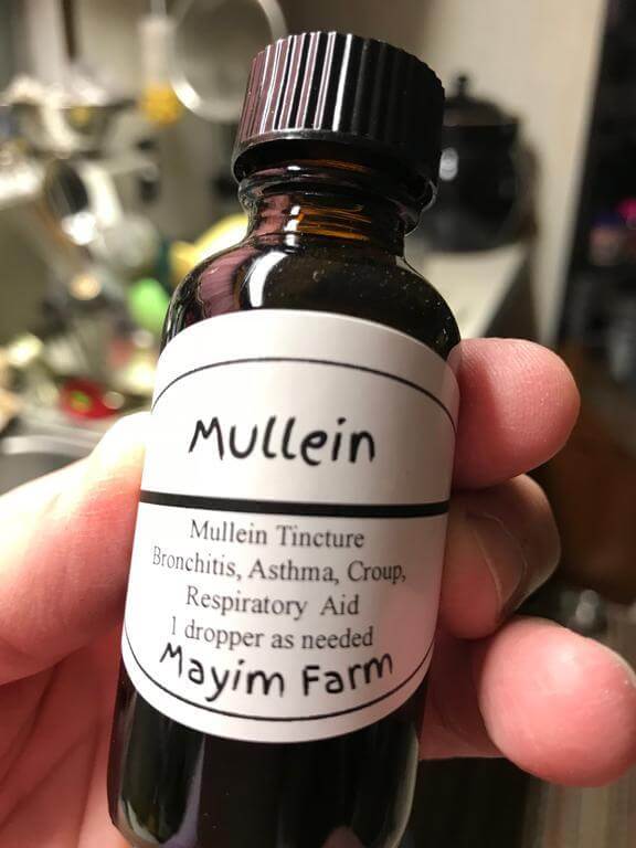 Wildcrafted mullein leaf tincture for lung support from Mayim Farm Alabama